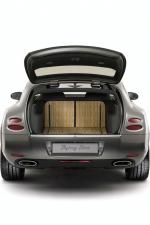 Bentley Continental Flying Star 2010 года